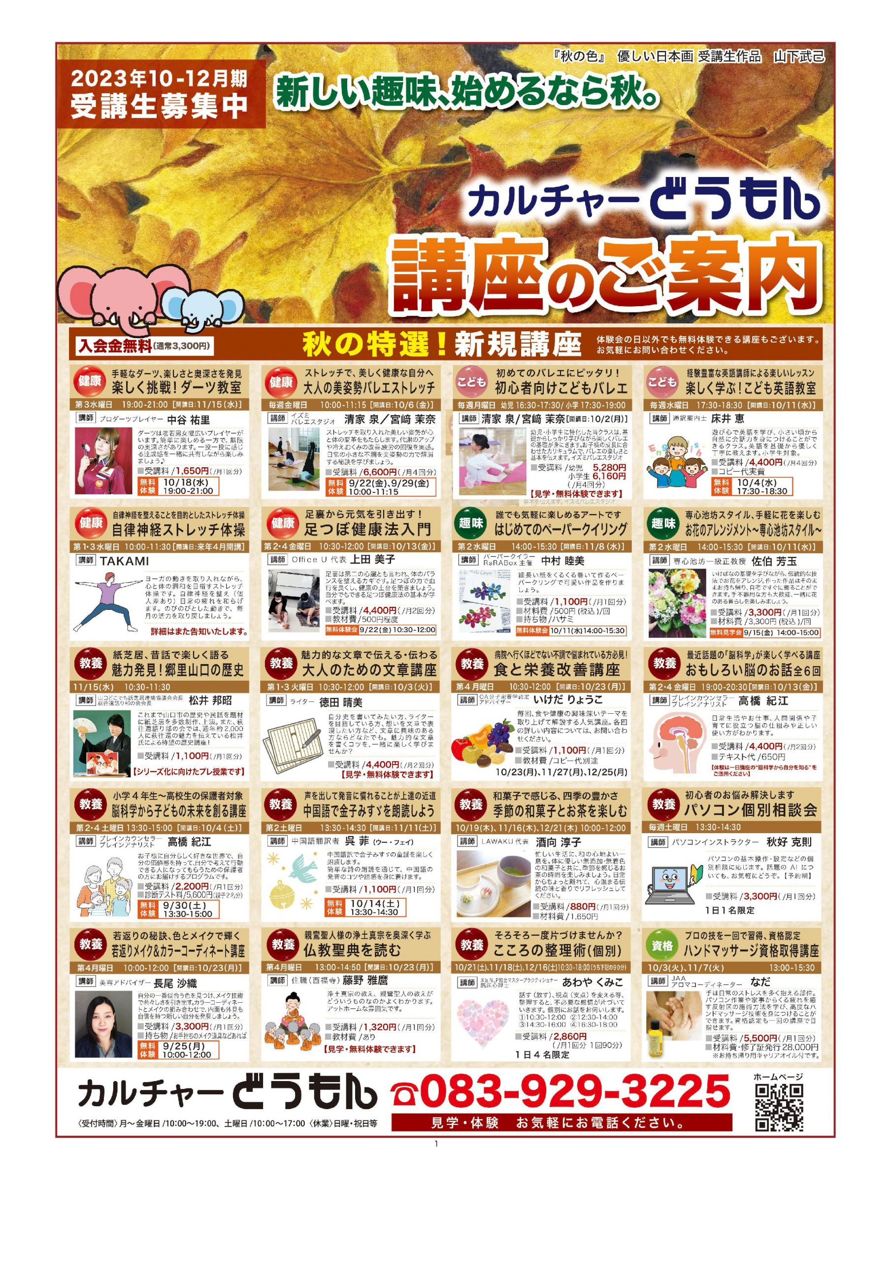 最新チラシ